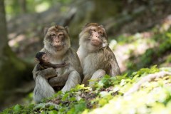 Impressionen_Daun_01