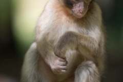 Impressionen_Daun_02