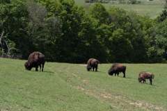 Impressionen_Daun_03