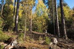 Impressionen_Esch_01