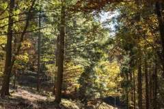 Impressionen_Esch_02