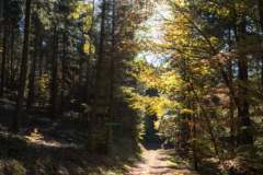 Impressionen_Esch_03