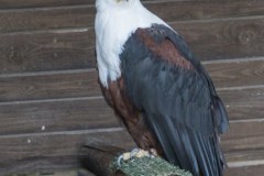 Impressionen_Hellenthal_01