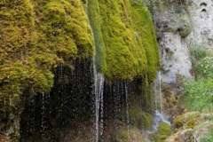 Impressionen_Nohn_01